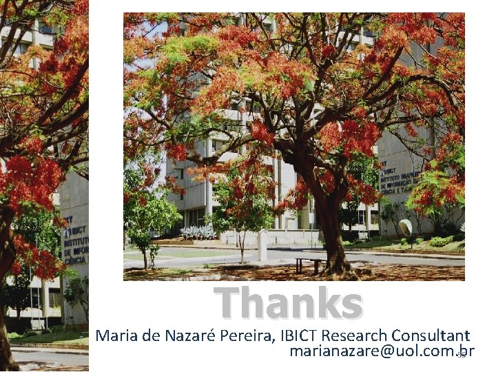 Thanks Maria de Nazaré Pereira, IBICT Research Consultant marianazare@uol. com. br 55 