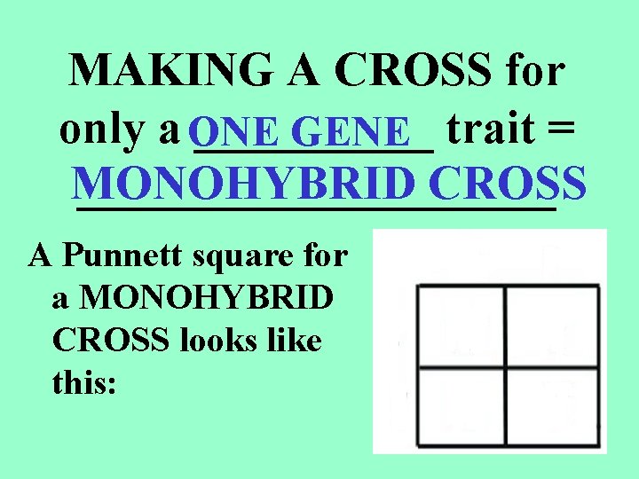 MAKING A CROSS for only a ONE _____ GENE trait = MONOHYBRID CROSS __________ MAKING A CROSS for only a ONE _____ GENE trait = MONOHYBRID CROSS __________