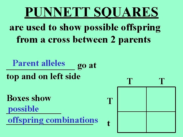 PUNNETT SQUARES are used to show possible offspring from a cross between 2 parents PUNNETT SQUARES are used to show possible offspring from a cross between 2 parents