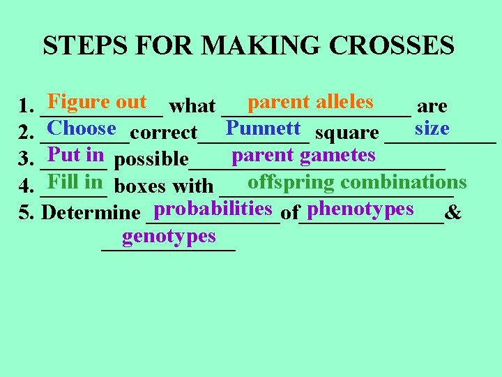 STEPS FOR MAKING CROSSES Figure out what _________ parent alleles 1. ______ are Choose STEPS FOR MAKING CROSSES Figure out what _________ parent alleles 1. ______ are Choose