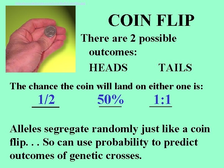 http: //www. arborsci. com/Cool. Stuff/Coin. Flip. jpg COIN FLIP There are 2 possible capital http: //www. arborsci. com/Cool. Stuff/Coin. Flip. jpg COIN FLIP There are 2 possible capital