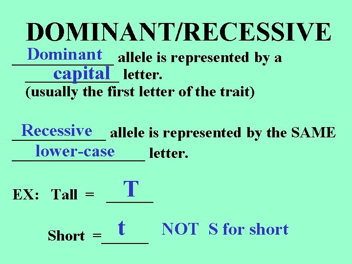 DOMINANT/RECESSIVE Dominant allele is represented by a _______ capital letter. (usually the first letter DOMINANT/RECESSIVE Dominant allele is represented by a _______ capital letter. (usually the first letter