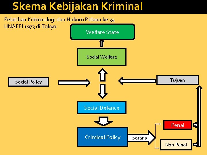 Skema Kebijakan Kriminal Pelatihan Kriminologi dan Hukum Pidana ke 34 UNAFEI 1973 di Tokyo