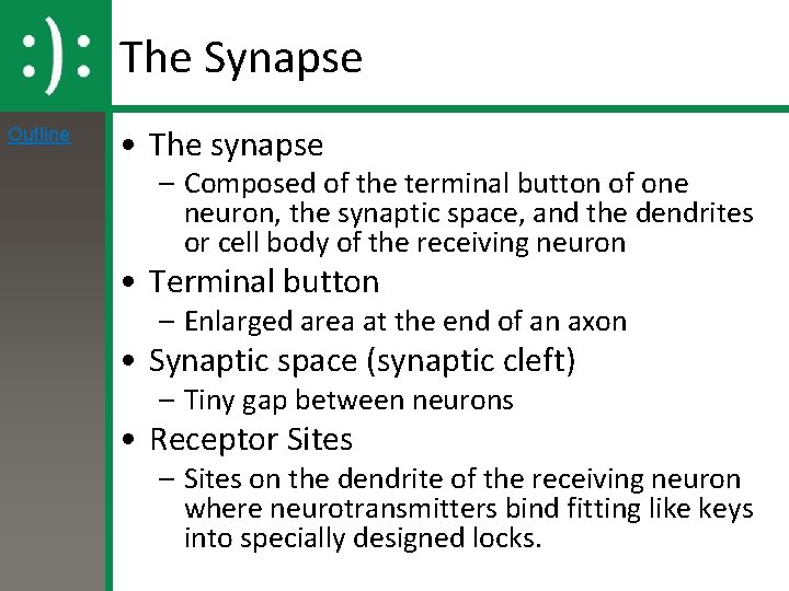 The Synapse Outline • The synapse – Composed of the terminal button of one