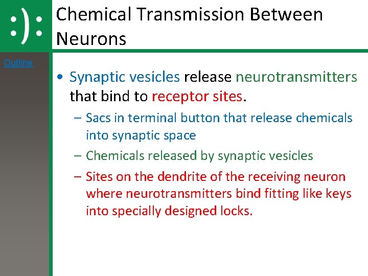 Chemical Transmission Between Neurons Outline • Synaptic vesicles release neurotransmitters that bind to receptor