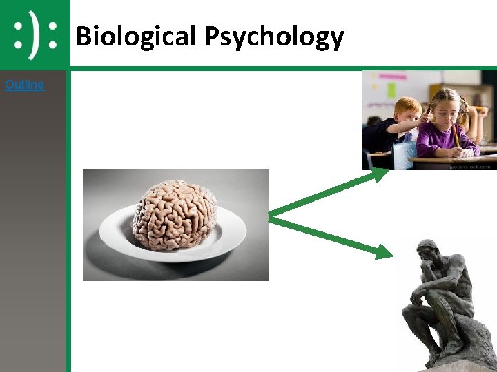 Biological Psychology Outline 