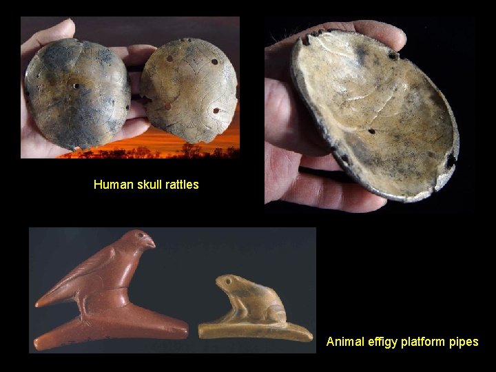 Human skull rattles Animal effigy platform pipes 