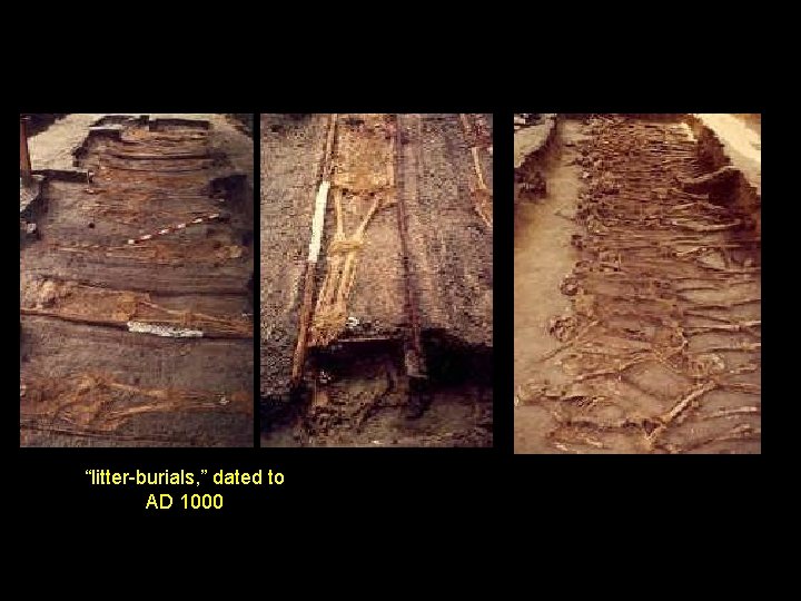 “litter-burials, ” dated to AD 1000 