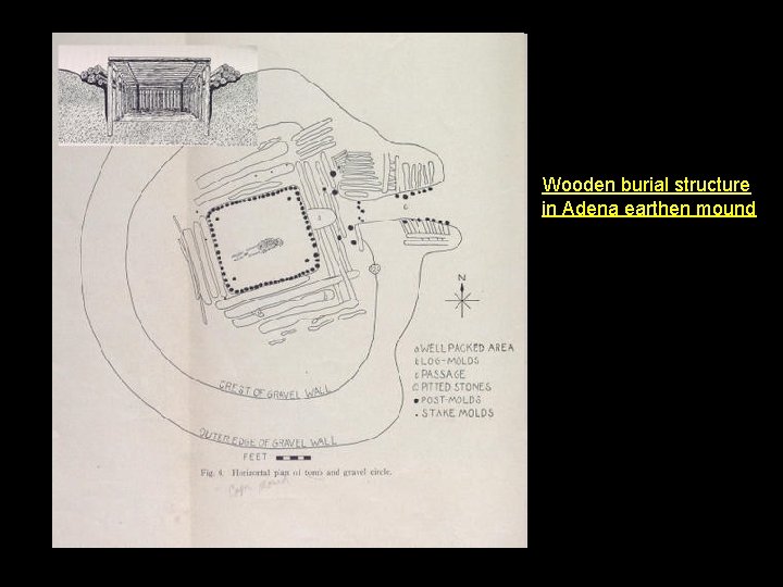 Wooden burial structure in Adena earthen mound 