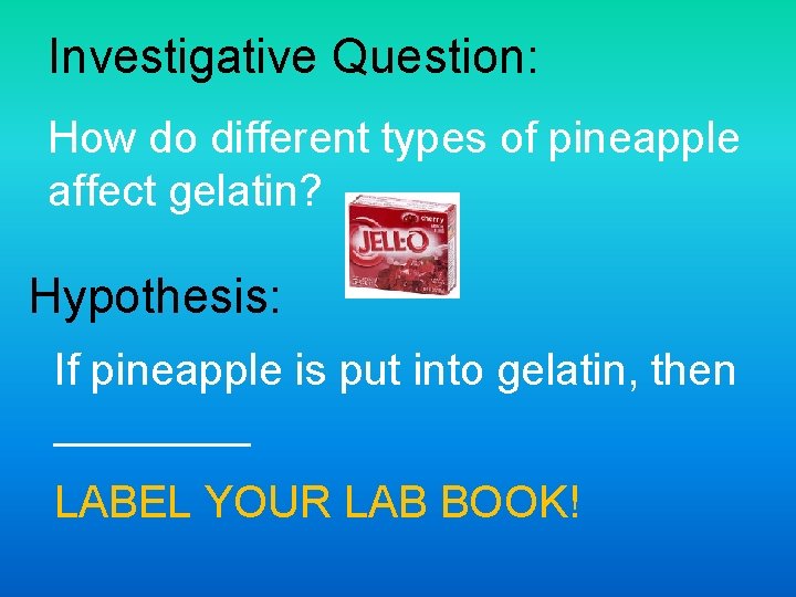 Investigative Question: How do different types of pineapple affect gelatin? Hypothesis: If pineapple is