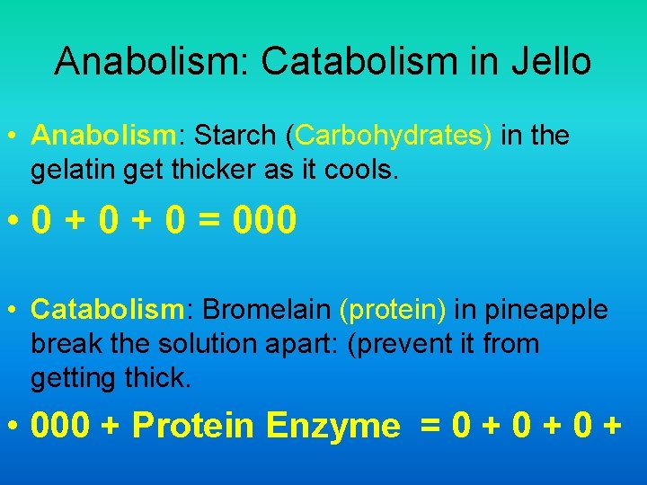 Anabolism: Catabolism in Jello • Anabolism: Starch (Carbohydrates) in the gelatin get thicker as