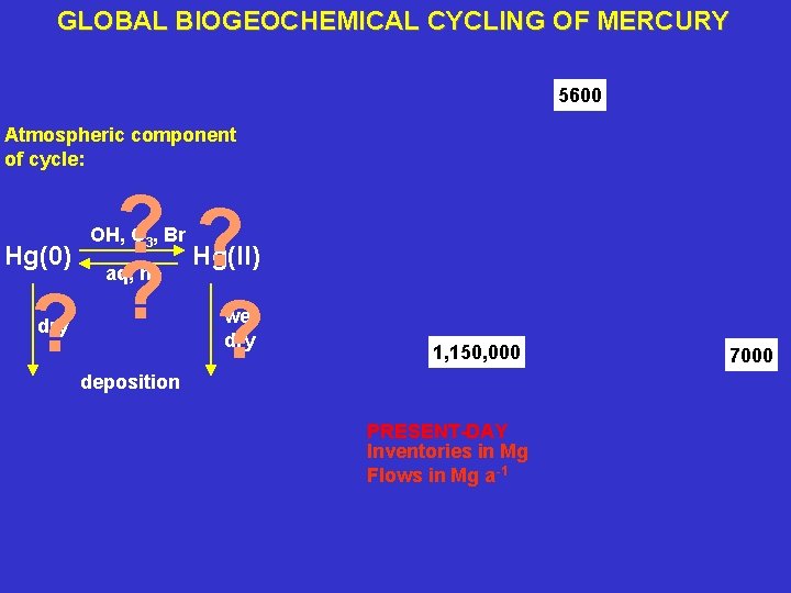 GLOBAL BIOGEOCHEMICAL CYCLING OF MERCURY 5600 Atmospheric component of cycle: ? ? ? Hg(0)