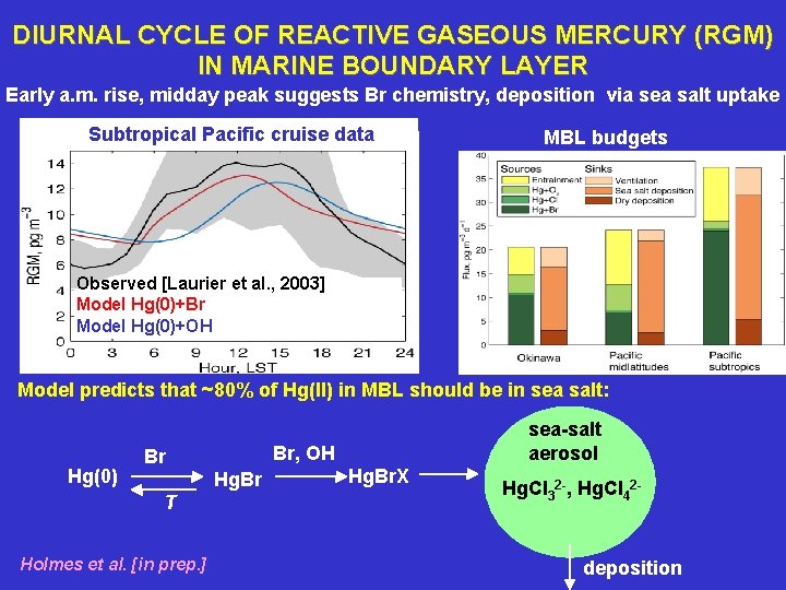 DIURNAL CYCLE OF REACTIVE GASEOUS MERCURY (RGM) IN MARINE BOUNDARY LAYER Early a. m.