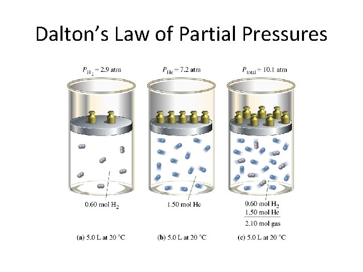 Dalton’s Law of Partial Pressures 