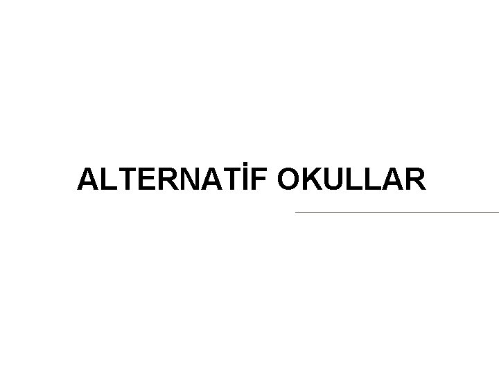 ALTERNATİF OKULLAR 