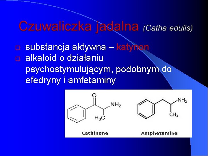  substancja aktywna – katynon alkaloid o działaniu psychostymulującym, podobnym do efedryny i amfetaminy