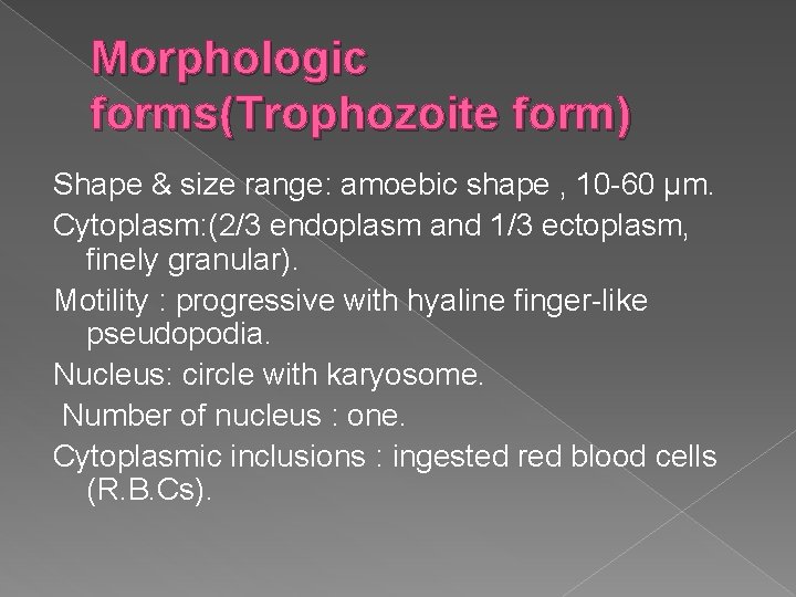 Morphologic forms(Trophozoite form) Shape & size range: amoebic shape , 10 -60 μm. Cytoplasm: