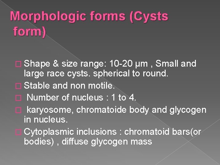 Morphologic forms (Cysts form) � Shape & size range: 10 -20 μm , Small
