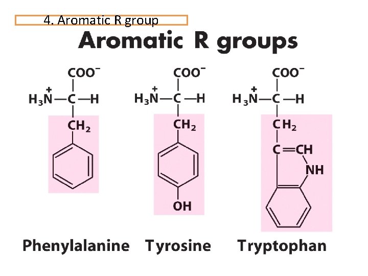 4. Aromatic R group 