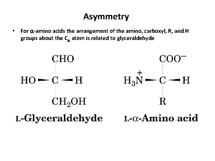 Asymmetry • For -amino acids the arrangement of the amino, carboxyl, R, and H