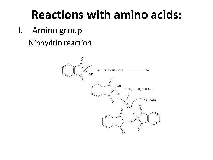 Reactions with amino acids: I. Amino group Ninhydrin reaction 