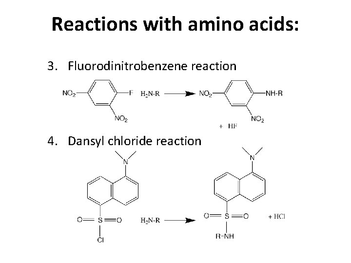 Reactions with amino acids: 3. Fluorodinitrobenzene reaction 4. Dansyl chloride reaction 