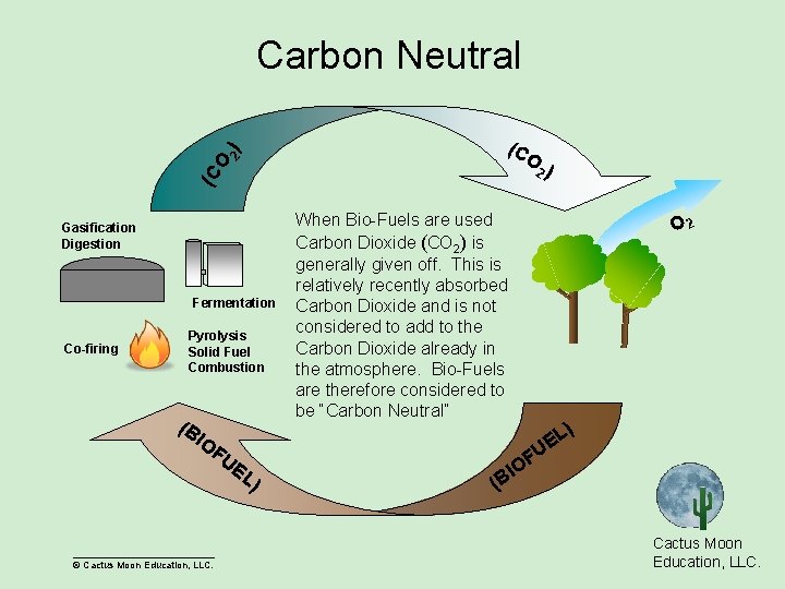 (C O 2) Carbon Neutral Gasification Digestion Fermentation Co-firing Pyrolysis Solid Fuel Combustion (B