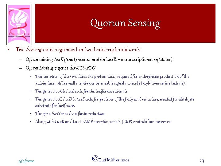 Quorum Sensing • The lux region is organized in two transcriptional units: – OL: