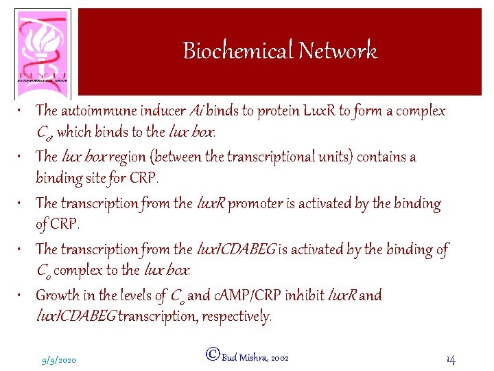 Biochemical Network • The autoimmune inducer Ai binds to protein Lux. R to form