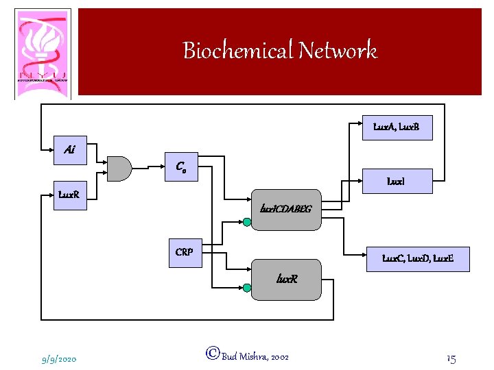 Biochemical Network Lux. A, Lux. B Ai C 0 Lux. I Lux. R lux.