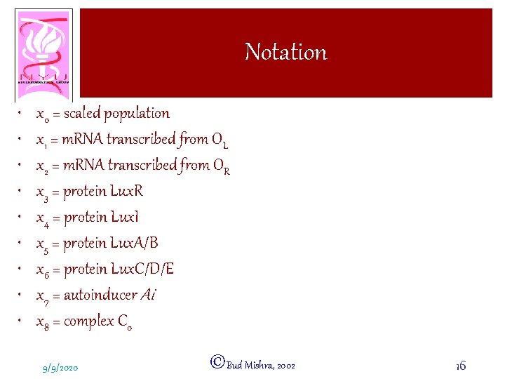 Notation • • • x 0 = scaled population x 1 = m. RNA