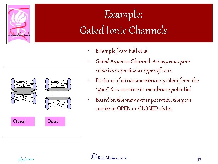 Example: Gated Ionic Channels • Example from Fall et al. • Gated Aqueous Channel: