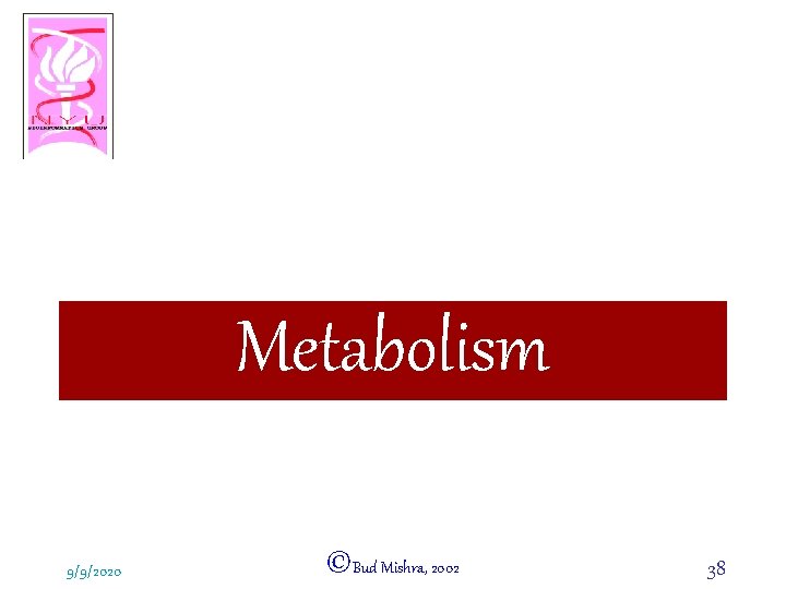 Metabolism 9/9/2020 ©Bud Mishra, 2002 38 