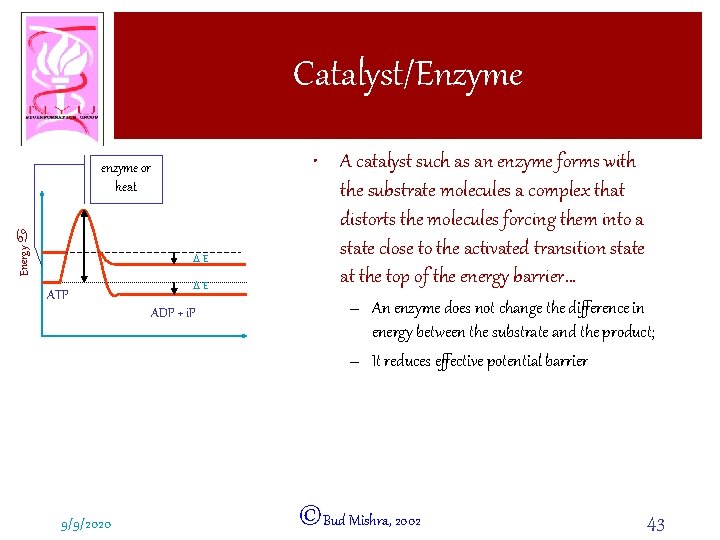Catalyst/Enzyme Energy a enzyme or heat DE ATP DE ADP + i. P 9/9/2020