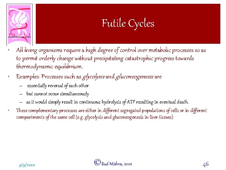 Futile Cycles • All living organisms require a high degree of control over metabolic