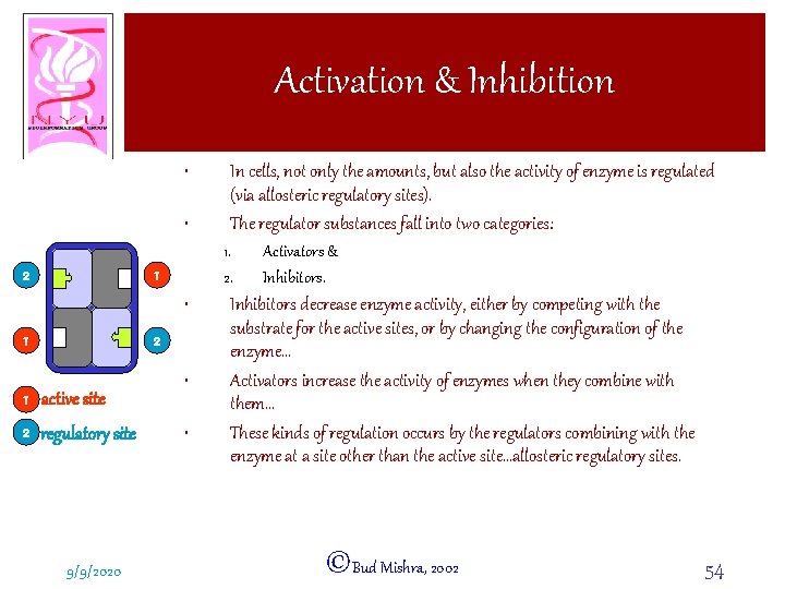 Activation & Inhibition • • 2 1. 2. 1 • 1 2 1 active