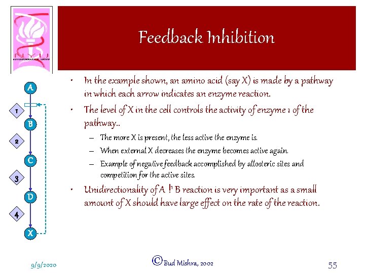 Feedback Inhibition A 1 B • In the example shown, an amino acid (say