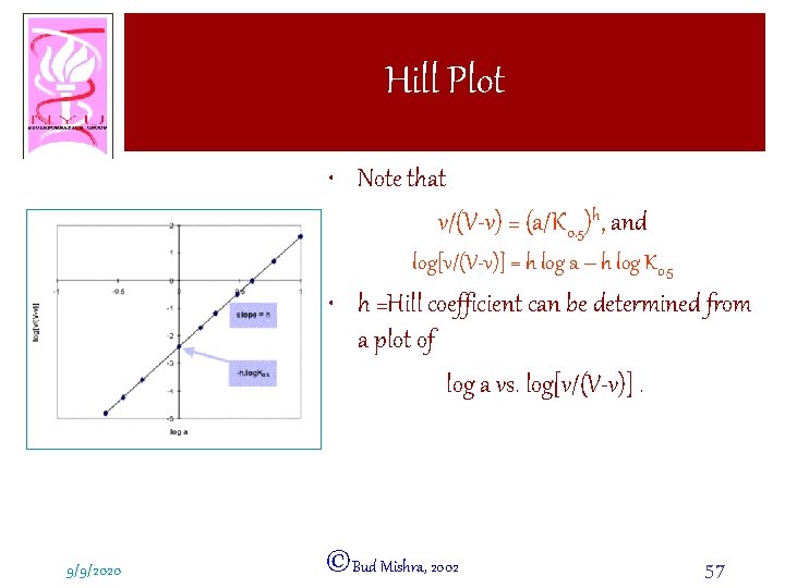 Hill Plot • Note that v/(V-v) = (a/K 0. 5)h, and log[v/(V-v)] = h