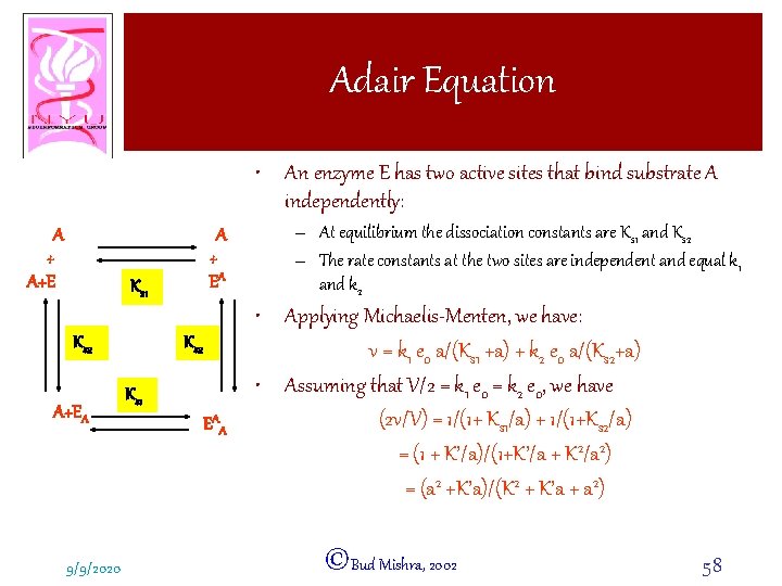 Adair Equation • An enzyme E has two active sites that bind substrate A