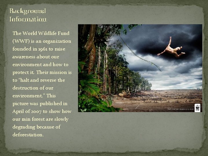Background Information The World Wildlife Fund (WWF) is an organization founded in 1961 to