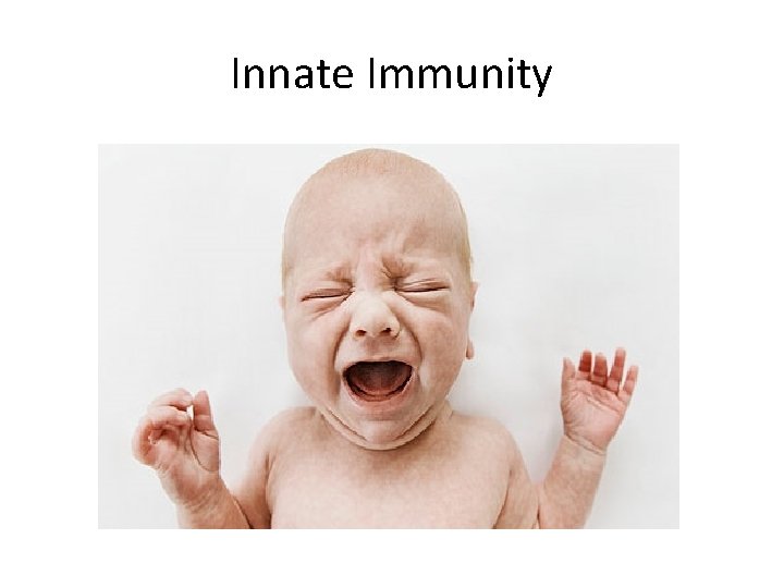 Innate Immunity 