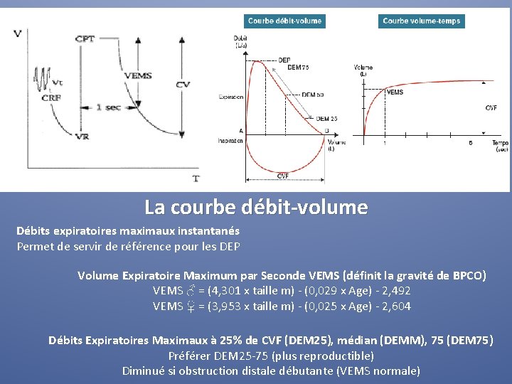 Des volumes et capacités… mais les débits ? La courbe débit-volume Débits expiratoires maximaux