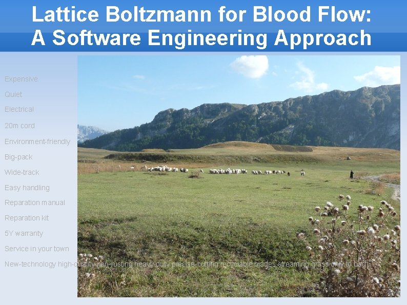 Lattice Boltzmann for Blood Flow: A Software Engineering Approach Expensive Quiet Electrical 20 m