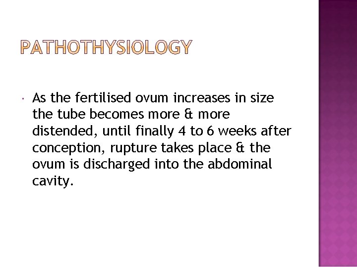  As the fertilised ovum increases in size the tube becomes more & more