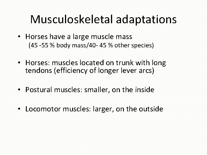 Musculoskeletal adaptations • Horses have a large muscle mass (45 -55 % body mass/40