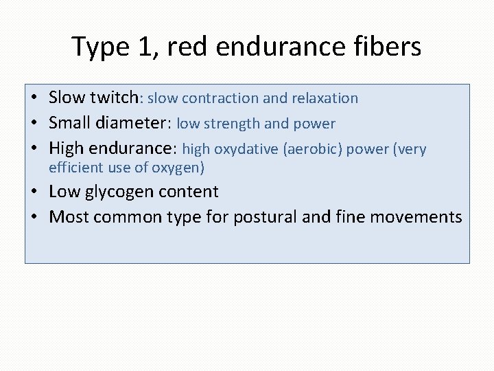 Type 1, red endurance fibers • Slow twitch: slow contraction and relaxation • Small