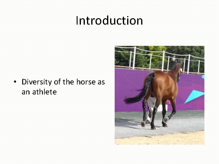 Introduction • Diversity of the horse as an athlete 