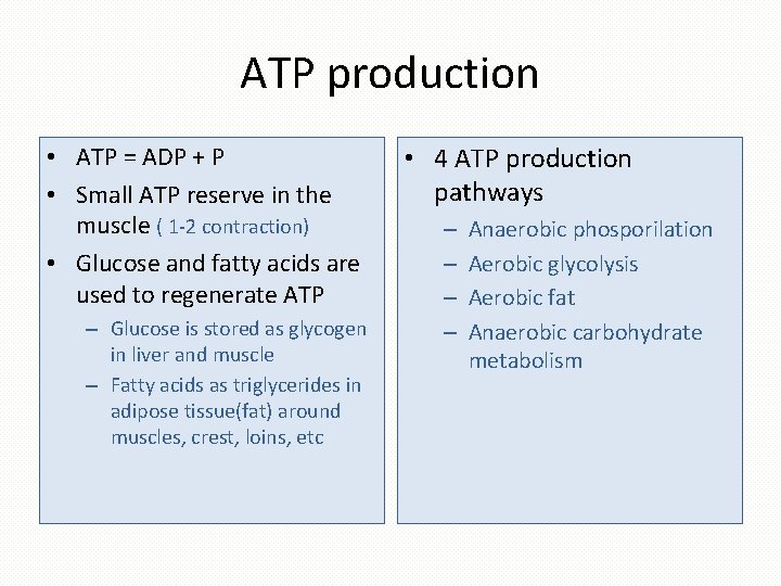 ATP production • ATP = ADP + P • Small ATP reserve in the