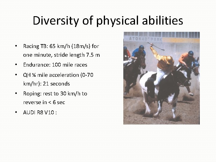 Diversity of physical abilities • Racing TB: 65 km/h (18 m/s) for one minute,