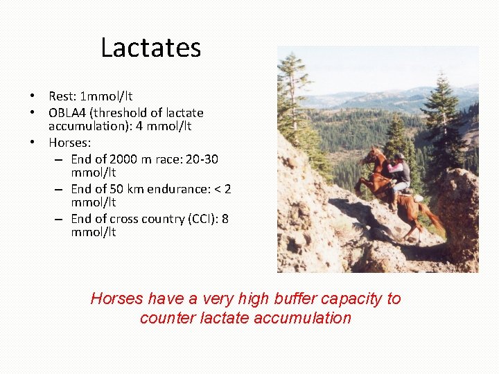 Lactates • Rest: 1 mmol/lt • OBLA 4 (threshold of lactate accumulation): 4 mmol/lt